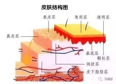 揭開角質的神秘面紗 去角質會讓皮膚變薄嗎？